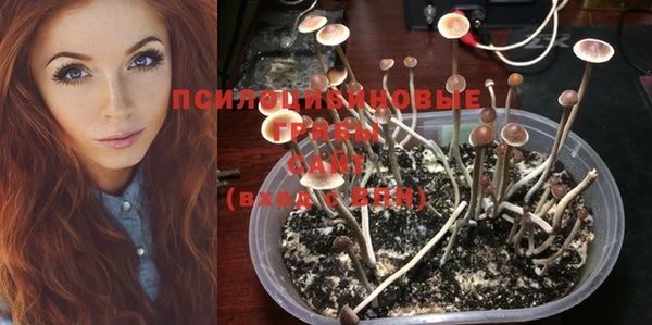 марихуана Абаза