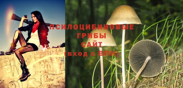 ECSTASY Абинск