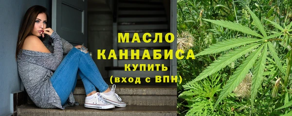 дмт Новозыбков
